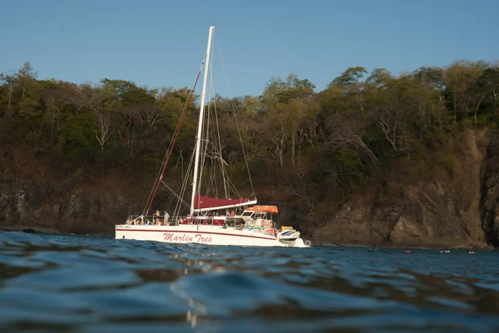 A catamaran sails in the ocean near a cliff