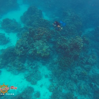 Coral reef Costa Rica