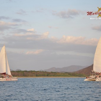 Marlin del Rey catamarans on water
