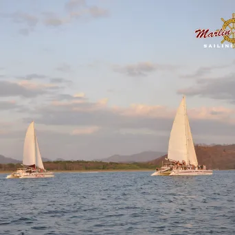 Marlin del Rey catamarans on water
