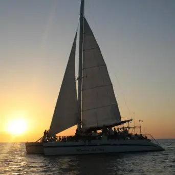 sunset catamaran tour