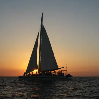 sunset catamaran tour