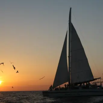 sunset catamaran tour