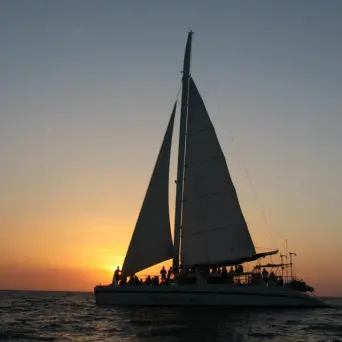 sunset catamaran tour