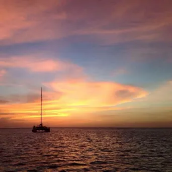 catamaran during sunset