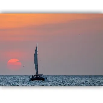 catamaran during sunset