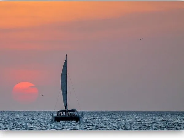 catamaran during sunset